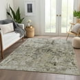 thumbnail image 1 of Addison Rugs Chantille Indoor/Outdoor Transitional Modern Taupe Washable Rectangle Rug, 3' x 5', 1 of 6