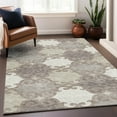 thumbnail image 1 of Addison Rugs Chantille Indoor/Outdoor Transitional Scrolls Taupe Washable Rectangle Rug, 3' x 5', 1 of 6