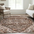 thumbnail image 1 of Addison Rugs Chantille Indoor/Outdoor Traditional Oriental Terracotta Washable Rectangle Rug, 9' x 12', 1 of 6