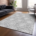 thumbnail image 1 of Addison Rugs Chantille Indoor/Outdoor Transitional Medallions Gray Washable Rectangle Rug, 5' x 7'6", 1 of 6