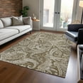 thumbnail image 1 of Addison Rugs Chantille Indoor/Outdoor Transitional Paisley Chocolate Washable Rectangle Rug, 3' x 5', 1 of 6