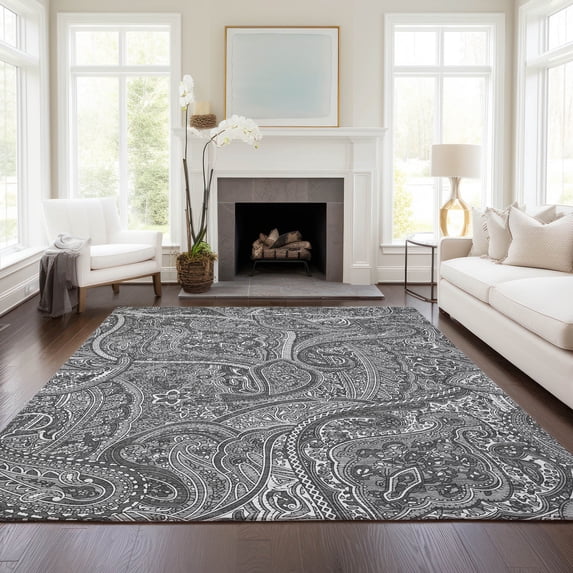 Addison Rugs Chantille Indoor/Outdoor Traditional Paisley Gray Washable Rectangle Rug, 9' x 12'