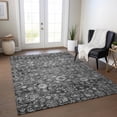 thumbnail image 1 of Addison Rugs Chantille Indoor/Outdoor Traditional Oriental Gray Washable Rectangle Rug, 10' x 14', 1 of 6