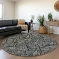 thumbnail image 1 of Addison Rugs Chantille Indoor/Outdoor Transitional Floral Black Washable Round Rug, 8' x 8', 1 of 6