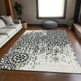 thumbnail image 1 of Addison Rugs Chantille Indoor/Outdoor Transitional Medallions Black Washable Rectangle Rug, 3' x 5', 1 of 6