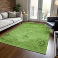 thumbnail image 1 of Addison Rugs Chantille Indoor/Outdoor Traditional Oriental Aloe Washable Rectangle Rug, 3' x 5', 1 of 6