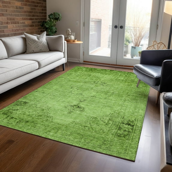 Addison Rugs Chantille Indoor/Outdoor Traditional Oriental Aloe Washable Rectangle Rug, 3' x 5'