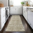 thumbnail image 1 of Addison Rugs Chantille Indoor/Outdoor Transitional Panel Beige Washable Runner Rug, 2'3" x 7'6", 1 of 6