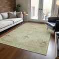 thumbnail image 1 of Addison Rugs Chantille Indoor/Outdoor Traditional Oriental Beige Washable Rectangle Rug, 2'6" x 3'10", 1 of 6