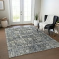 thumbnail image 1 of Addison Rugs Chantille Indoor/Outdoor Transitional Panel Charcoal Washable Rectangle Rug, 3' x 5', 1 of 5