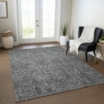 thumbnail image 1 of Addison Rugs Chantille Indoor/Outdoor Transitional Panel Charcoal Washable Rectangle Rug, 9' x 12', 1 of 6