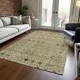 thumbnail image 1 of Addison Rugs Chantille Indoor/Outdoor Transitional Southwest Sage Washable Rectangle Rug, 3' x 5', 1 of 6