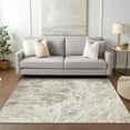 thumbnail image 1 of Addison Rugs Chantille Indoor/Outdoor Transitional Abstract Taupe Washable Rectangle Rug, 2'6" x 3'10", 1 of 6