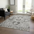 thumbnail image 1 of Addison Rugs Chantille Indoor/Outdoor Traditional Oriental Ivory Washable Rectangle Rug, 3' x 5', 1 of 6