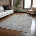 thumbnail image 1 of Addison Rugs Chantille Indoor/Outdoor Traditional Formal Gray Washable Rectangle Rug, 8' x 10', 1 of 6