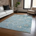thumbnail image 1 of Addison Rugs Chantille Indoor/Outdoor Traditional Formal Teal Washable Rectangle Rug, 9' x 12', 1 of 6