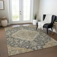 thumbnail image 1 of Addison Rugs Chantille Indoor/Outdoor Traditional Global Charcoal Washable Rectangle Rug, 8' x 10', 1 of 6