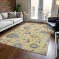 thumbnail image 1 of Addison Rugs Chantille Indoor/Outdoor Transitional Global Gold Washable Rectangle Rug, 9' x 12', 1 of 6