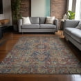 thumbnail image 1 of Addison Rugs Chantille Indoor/Outdoor Traditional Oriental Red Washable Rectangle Rug, 9' x 12', 1 of 6