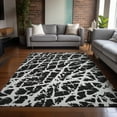 thumbnail image 1 of Addison Rugs Chantille Indoor/Outdoor Transitional Organic Black Washable Rectangle Rug, 10' x 14', 1 of 6