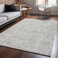thumbnail image 1 of Addison Rugs Mayfield Washable Transitional Panel Taupe Rectangle Rug, 2'6" x 3'10", 1 of 6