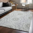 thumbnail image 1 of Addison Rugs Mayfield Washable Transitional Circles Gray Rectangle Rug, 3' x 5', 1 of 6
