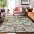 thumbnail image 1 of Addison Rugs Mayfield Washable Transitional Floral Aloe Rectangle Rug, 10' x 14', 1 of 6