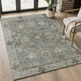thumbnail image 1 of Addison Rugs Mayfield Premium Machine Washable Traditional Global Pewter Rectangle Rug, 9' X 12' Machine Washable Traditional Global Pewter Oversized Sherpa Throw Blanket, 1 of 6