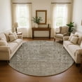 thumbnail image 1 of Addison Rugs Mayfield Premium Machine Washable Traditional Global Pewter Round Rug, 8' X 8' Machine Washable Traditional Global Pewter Oversized Sherpa Throw Blanket, 1 of 6