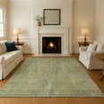 thumbnail image 1 of Addison Rugs Mayfield Premium Machine Washable Transitional Abstract Aloe Rectangle Rug, 3' x 5', 1 of 7