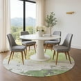 thumbnail image 1 of Addison Rugs Mayfield Premium Machine Washable Transitional Abstract Aloe Round Rug, 8' x 8', 1 of 6