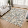 thumbnail image 1 of Addison Rugs Mayfield Premium Machine Washable Transitional Bohemian Gray Rectangle Rug, 9' x 12', 1 of 6