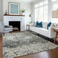 thumbnail image 1 of Addison Rugs Mayfield Washable Transitional Abstract Clouds Gray Rectangle Rug, 9' x 12', 1 of 6