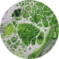 thumbnail image 1 of Dalyn Rugs Premium Machine Washable Mayfield AMF682 Lime 8' x 8' Round Rug, 1 of 6