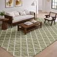 thumbnail image 1 of Addison Rugs Dream Shag Premium Machine Washable Transitional Lattice Aloe Rectangle Rug, 9' x 12', 1 of 8