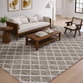 thumbnail image 1 of Addison Rugs Dream Shag Premium Machine Washable Transitional Lattice Taupe Rectangle Rug, 3' x 5', 1 of 8