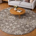 thumbnail image 1 of Addison Rugs Dream Shag Premium Machine Washable Traditional Ornate Driftwood Round Rug, 8' x 8', 1 of 8
