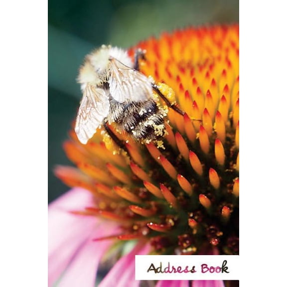 Address Book Flower Edition.: Address Book.: (Flower Edition Vol. B21) Glossy And Soft Cover, Large Print, Font, 6" x 9" For Contacts, Addresses, Phone Numbers, Emails, Birthday And More. (Paperback)(