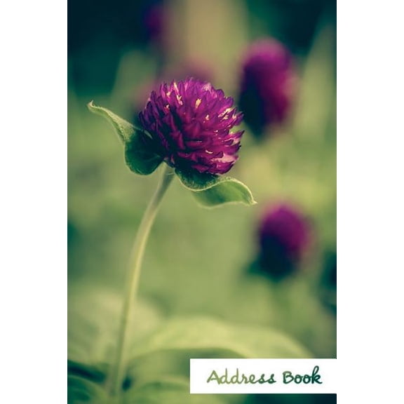 Address Book Flower Edition.: Address Book.: (Flower Edition Vol. B77) Glossy And Soft Cover, Large Print, Font, 6" x 9" For Contacts, Addresses, Phone Numbers, Emails, Birthday And More. (Paperback)(