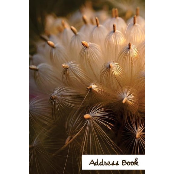 Address Book Flower Edition.: Address Book.: (Flower Edition Vol. C39) Glossy And Soft Cover, Large Print, Font, 6" x 9" For Contacts, Addresses, Phone Numbers, Emails, Birthday And More. (Paperback)(