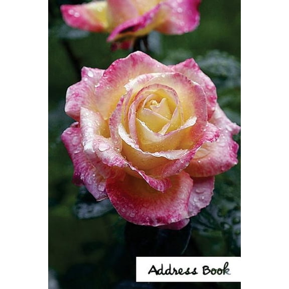 Address Book Flower Edition.: Address Book.: (Flower Edition Vol. C49) Glossy And Soft Cover, Large Print, Font, 6" x 9" For Contacts, Addresses, Phone Numbers, Emails, Birthday And More. (Paperback)(