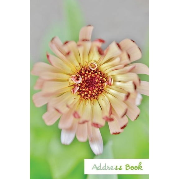 Address Book Flower Edition.: Address Book.: (Flower Edition Vol. D94) Glossy And Soft Cover, Large Print, Font, 6" x 9" For Contacts, Addresses, Phone Numbers, Emails, Birthday And More. (Paperback)(