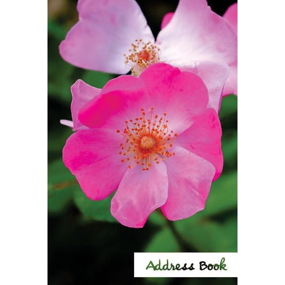 Address Book Flower Edition.: Address Book.: (Flower Edition Vol. D97) Glossy And Soft Cover, Large Print, Font, 6" x 9" For Contacts, Addresses, Phone Numbers, Emails, Birthday And More. (Paperback)(