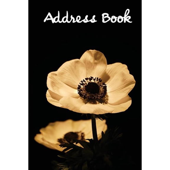 Address Book Flower Edition.: Address Book.: (Flower Edition Vol. F08) Abstract Flower Cover Design. Glossy Cover, Large Print, Font, 6" x 9" For Contacts, Addresses, Phone Numbers, Emails, Birthday A
