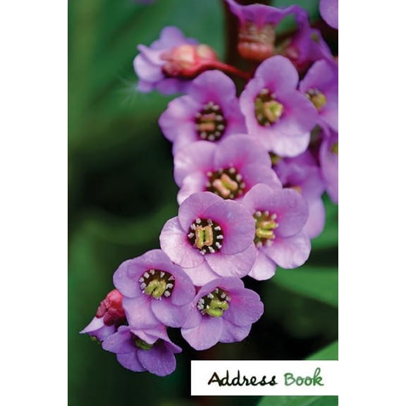 Address Book Flower Edition.: Address Book.: Glossy And Soft Cover, Large Print, Font, 6" x 9" For Contacts, Addresses, Phone Numbers, Emails, Birthday And More. (Paperback)(Large Print)