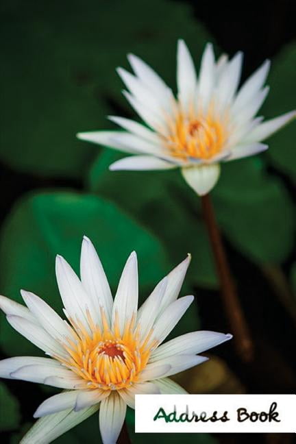 Address Book Flower Edition.: Address Book.: Glossy And Soft Cover, Large Print, Font, 6" x 9" For Contacts, Addresses, Phone Numbers, Emails, Birthday And More. (Paperback)(Large Print)
