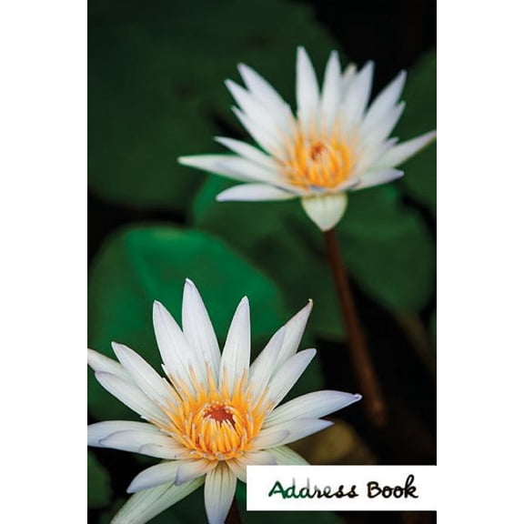 Address Book Flower Edition.: Address Book.: Glossy And Soft Cover, Large Print, Font, 6" x 9" For Contacts, Addresses, Phone Numbers, Emails, Birthday And More. (Paperback)(Large Print)