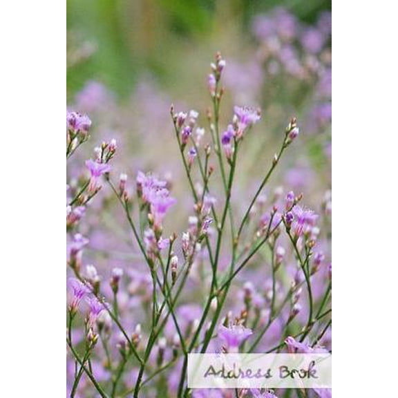 Address Book Flower Edition.: Address Book.: Glossy And Soft Cover, Large Print, Font, 6" x 9" For Contacts, Addresses, Phone Numbers, Emails, Birthday And More. (Paperback)(Large Print)