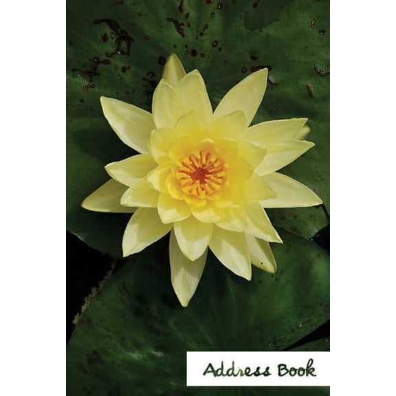 Address Book Flower Edition.: Address Book.: Glossy And Soft Cover, Large Print, Font, 6" x 9" For Contacts, Addresses, Phone Numbers, Emails, Birthday And More. (Paperback)(Large Print)