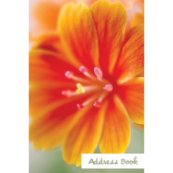 Address Book Flower Edition.: Address Book.: Glossy And Soft Cover, Large Print, Font, 6" x 9" For Contacts, Addresses, Phone Numbers, Emails, Birthday And More. (Paperback)(Large Print)